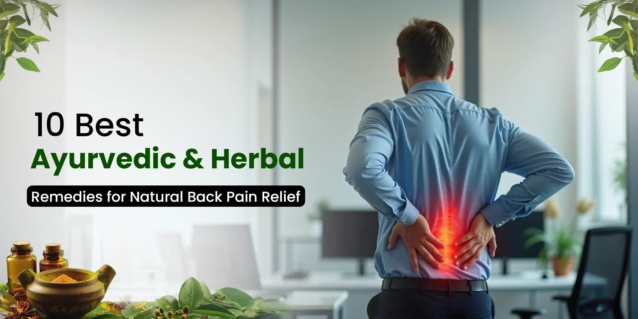 10 Best Ayurvedic & Herbal Remedies for Natural Back Pain Relief