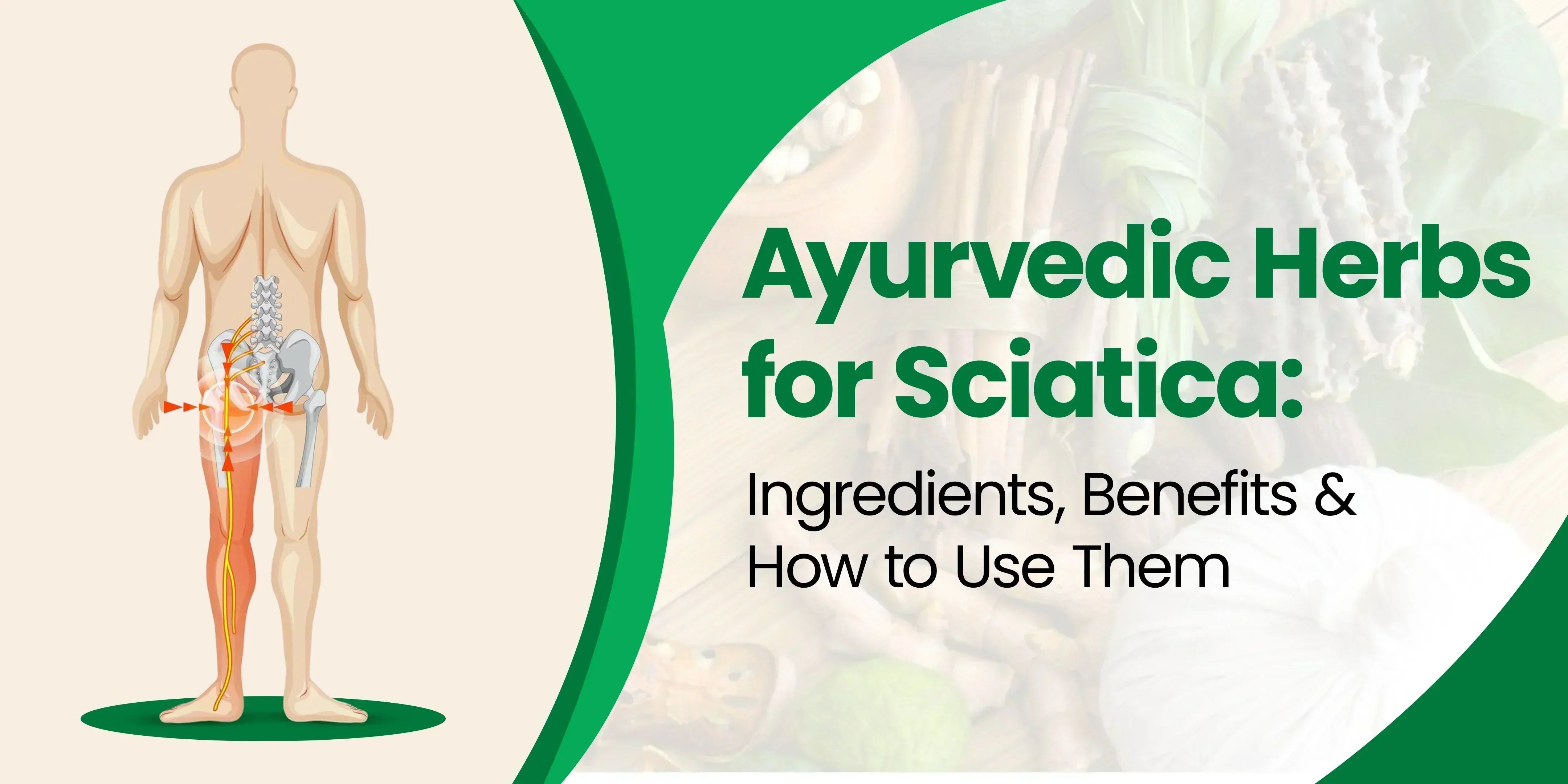 Ayurvedic herbs for sciatica pain- Ingredients, Benefits & How to Use Them