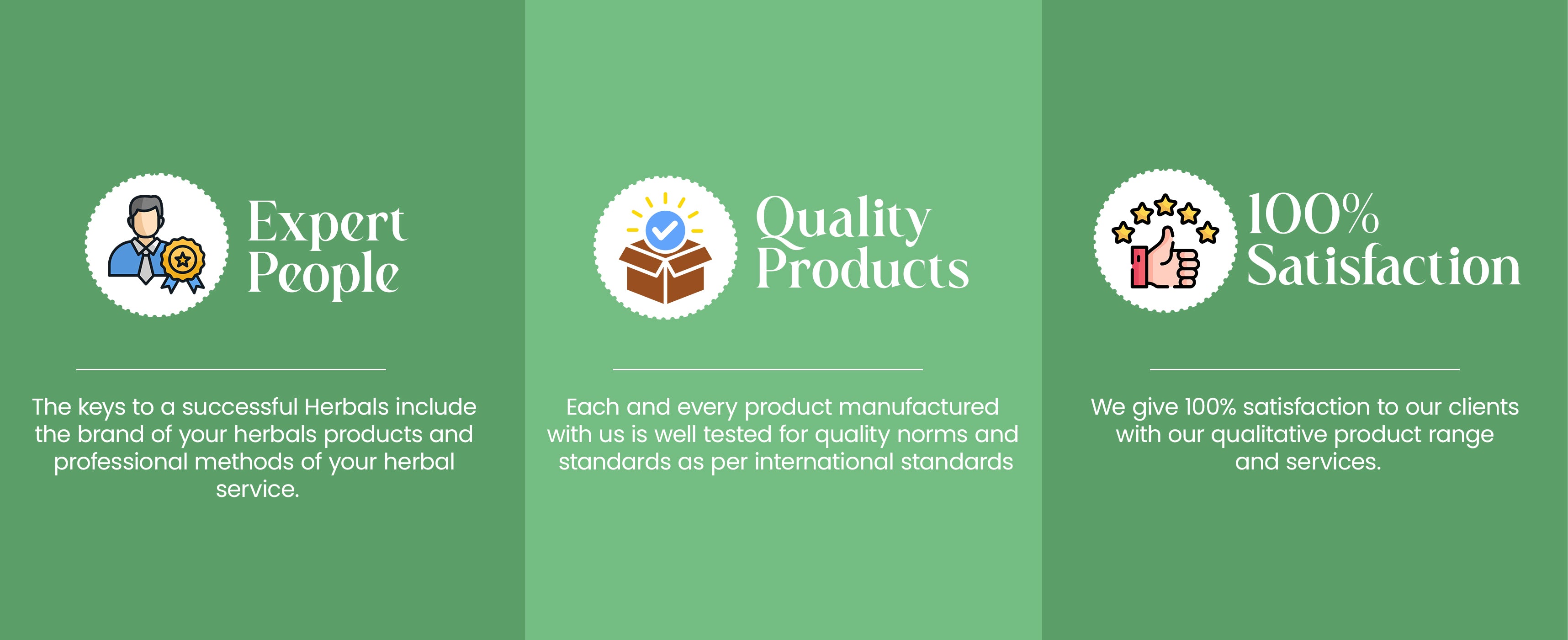 2nd banner.jpg__PID:46757dee-cc3d-4236-a08d-b4c9530b1506