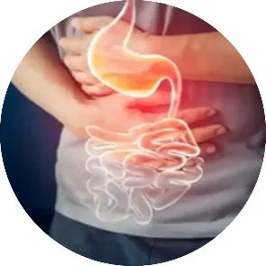 Ayurvedic Bowel Care Range for better Digestive health