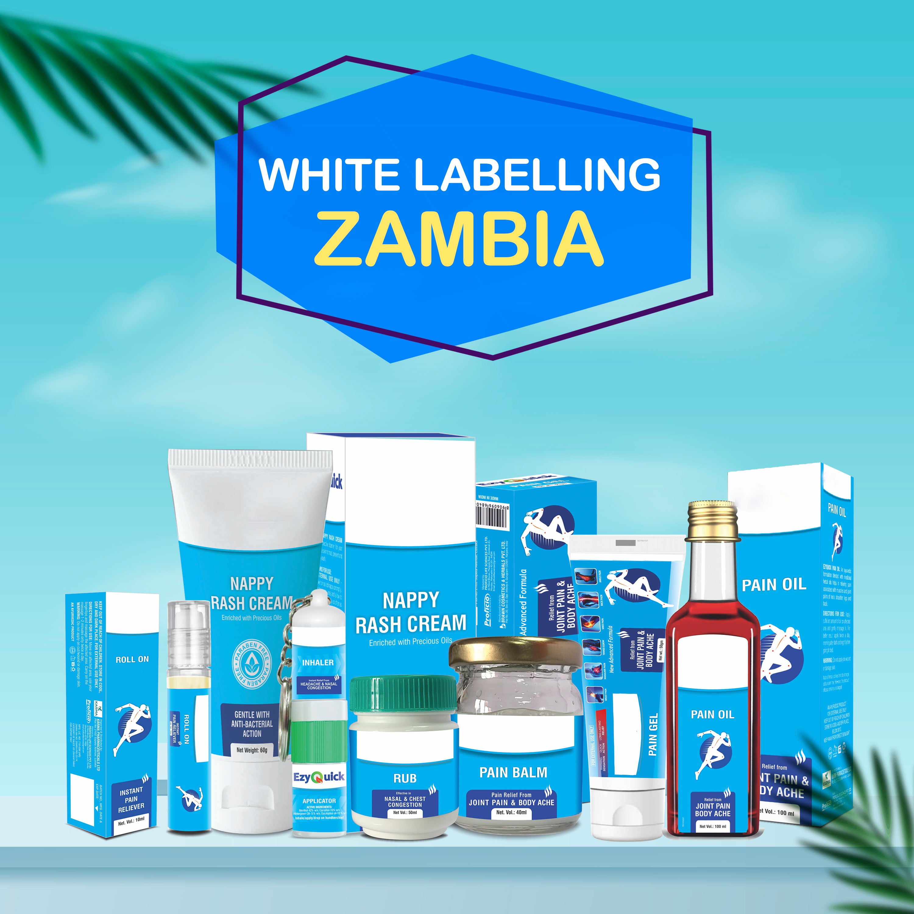 ZAMBIA copy.jpg__PID:54d36773-aada-4560-8d64-958b4ae5f6fd