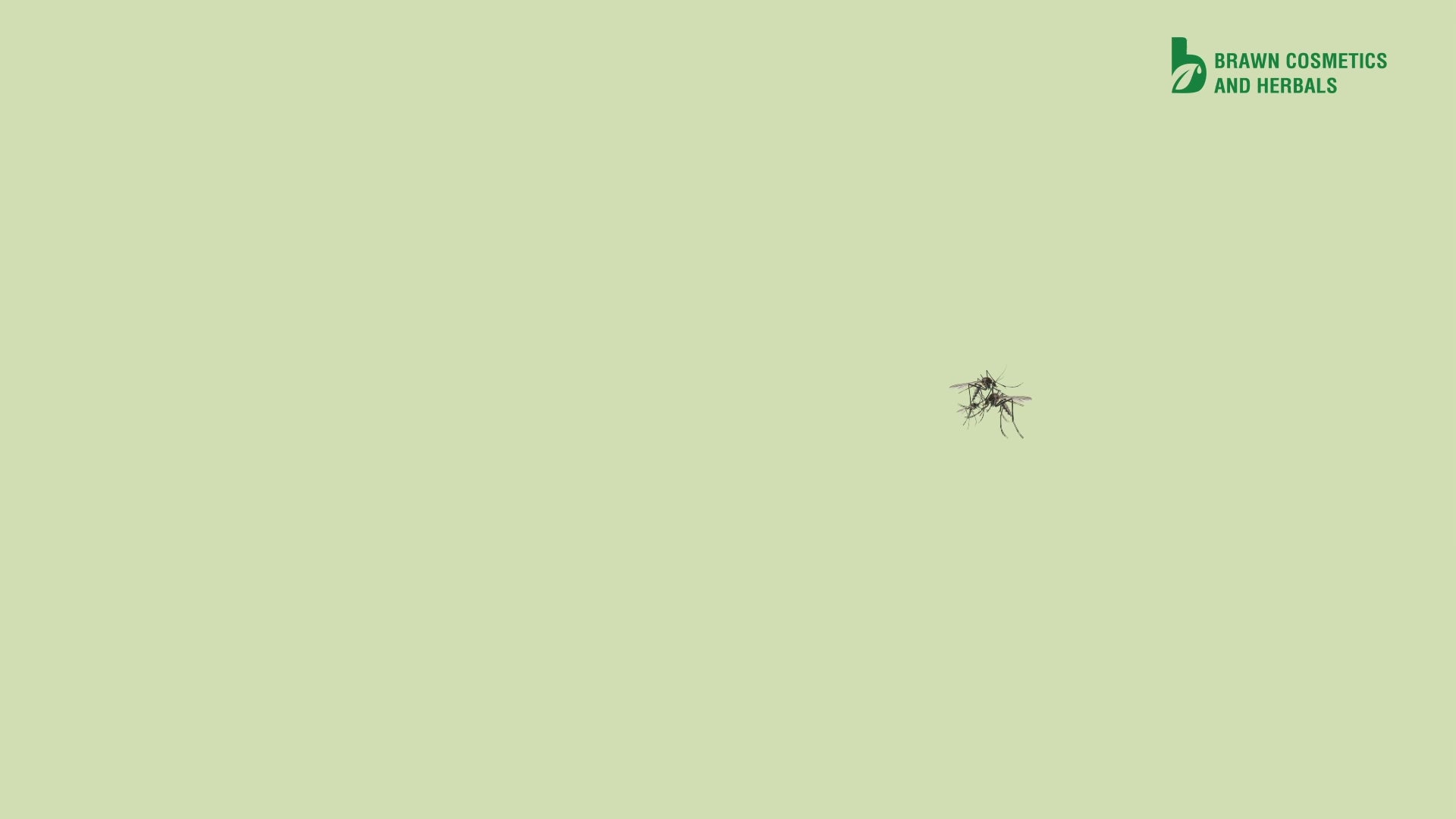 Brawn Herbal Mosquito repellent spray | Deet Free | 45ML